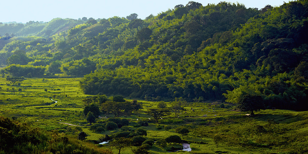 Hacienda Bambusa El Caimo Eksteriør billede