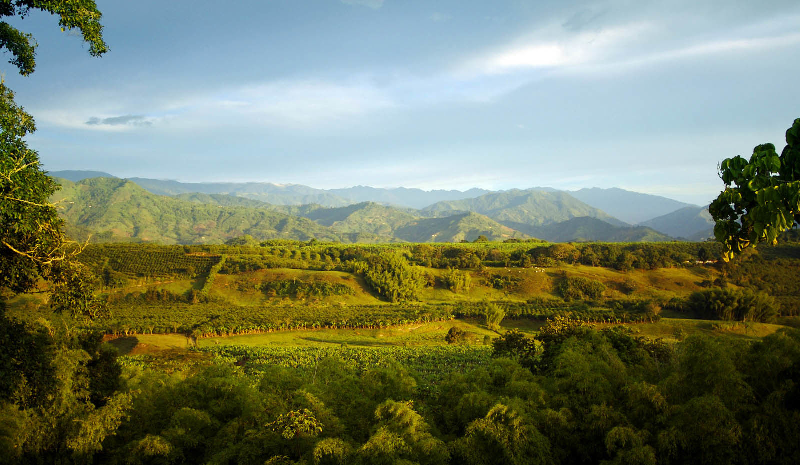 Hacienda Bambusa El Caimo Eksteriør billede
